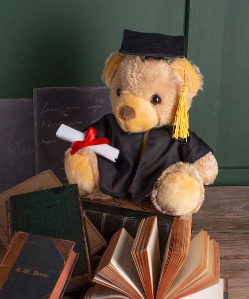 Graduation bear